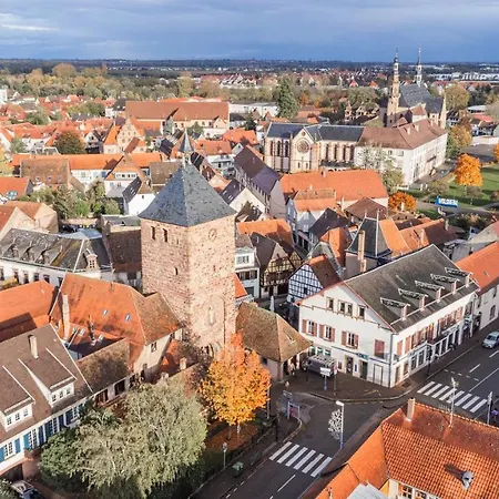 La Forge Chaleureux Et Grands Espaces * Molsheim