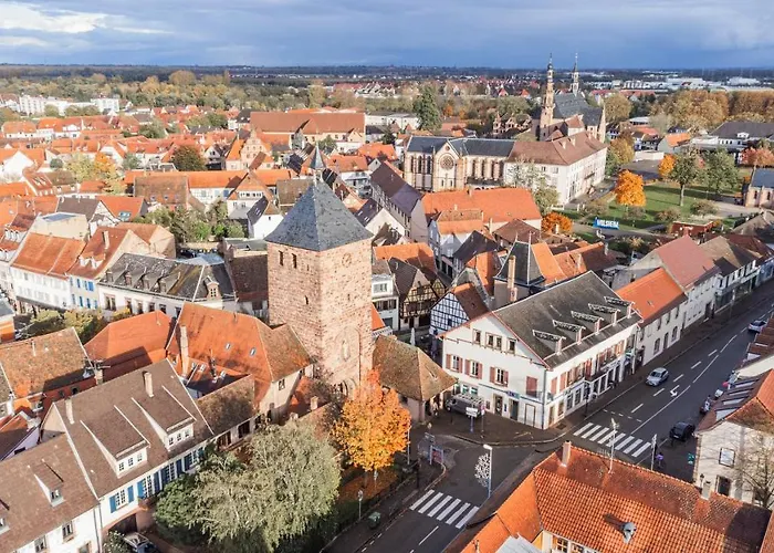 La Forge Chaleureux Et Grands Espaces * Molsheim